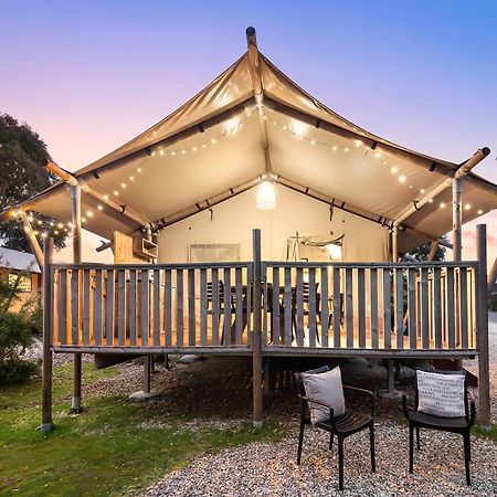 Scamander Sanctuary Holiday Park Bagian luar foto