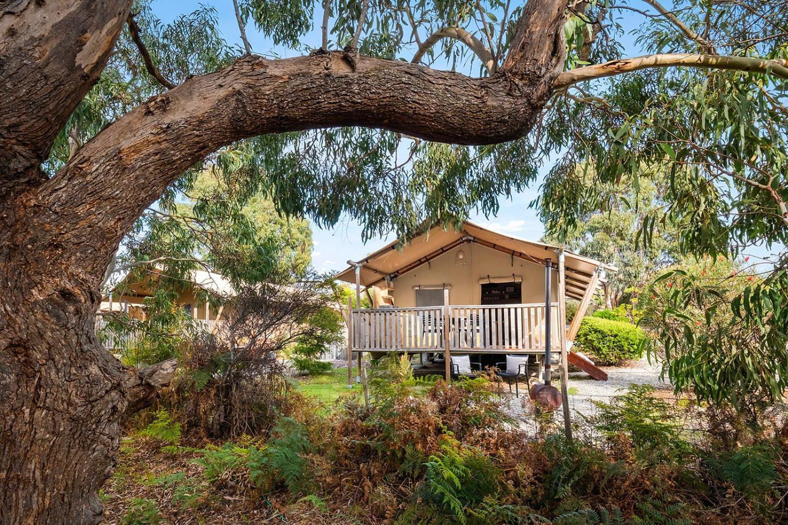 Scamander Sanctuary Holiday Park Bagian luar foto